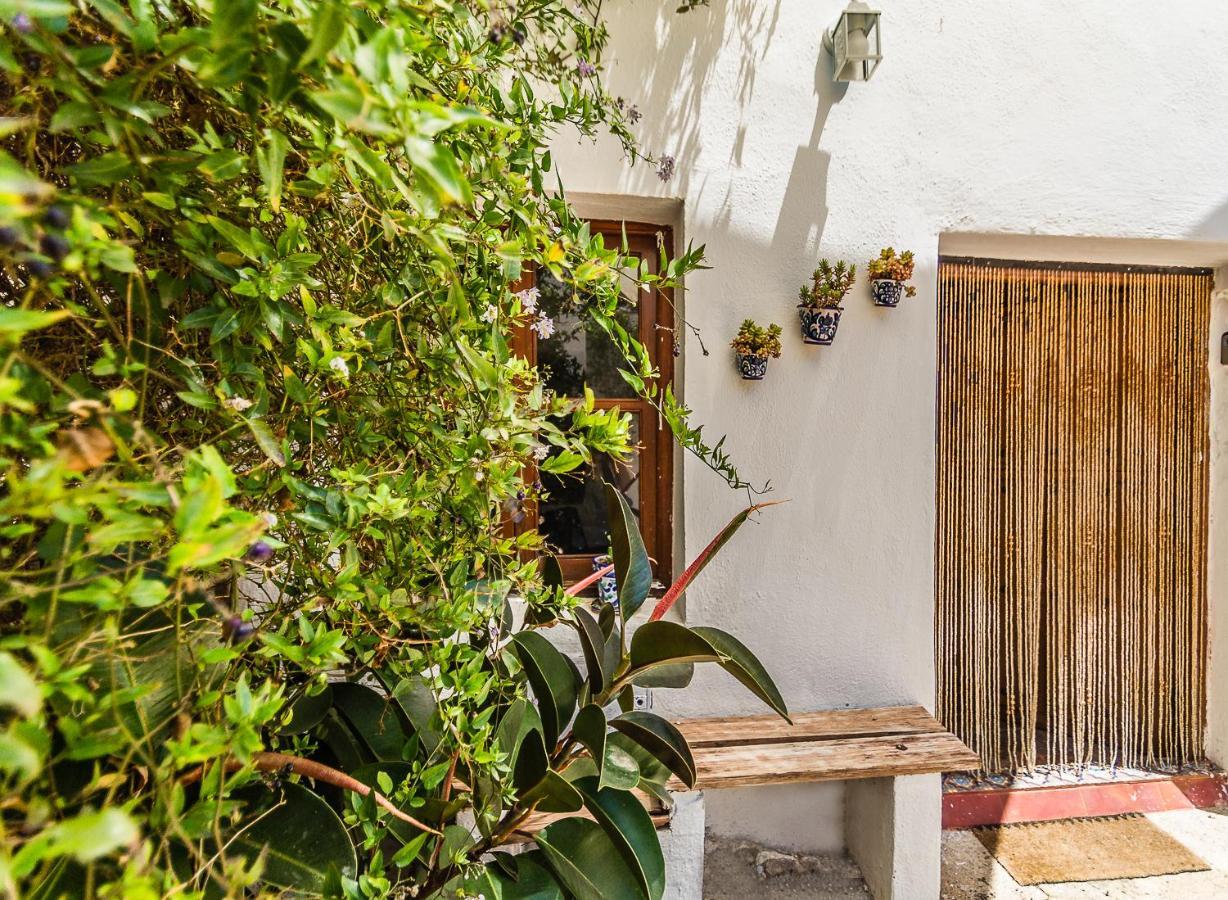 Casa Mundo - 16Th Century Traditional White Village House With Pool Pinos del Valle Bagian luar foto